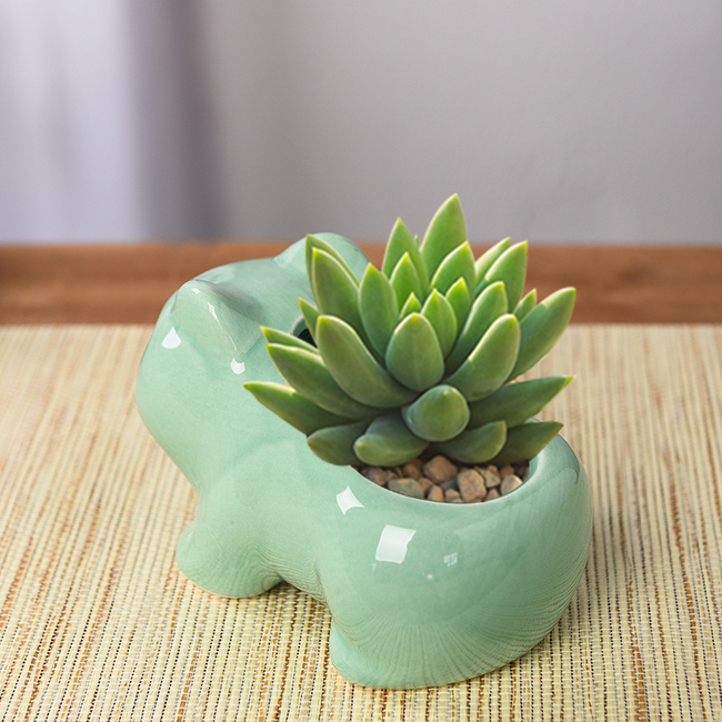 Bulbasaur Ceramic Planter Pot
