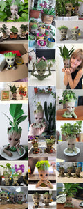 Home Garden Creative Miniature Groot Fairy Garden Decoration Flower Pots Succulent Flowerpots Desktop Decoration Ornaments Gifts