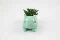 Kawaii Ceramic Flowerpot Succulent Planter Cute Green Plants Flower Pot with Hole For Dropshipping