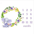 Baby Milestone Photo Props Background Blankets Infant Backdrop Cloth Calendar Bebe Photo Accessories Children Photo Carpet